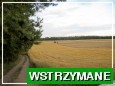 dziaka; Szczutki, gm Sicienko