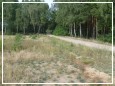 dziaki z warunkami zabudowy k. Torunia