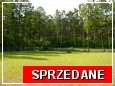 dziaka na sprzeda