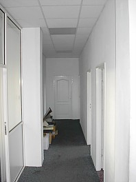 Ip