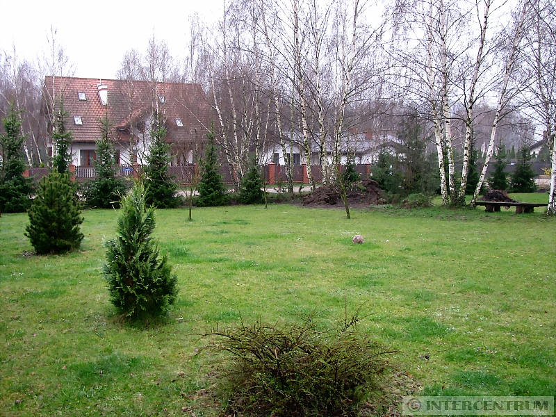 foto - kliknij aby zobaczy powikszenie