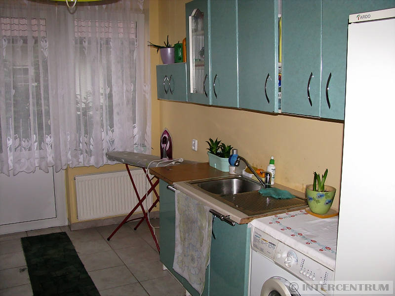 foto - kliknij aby zobaczy powikszenie