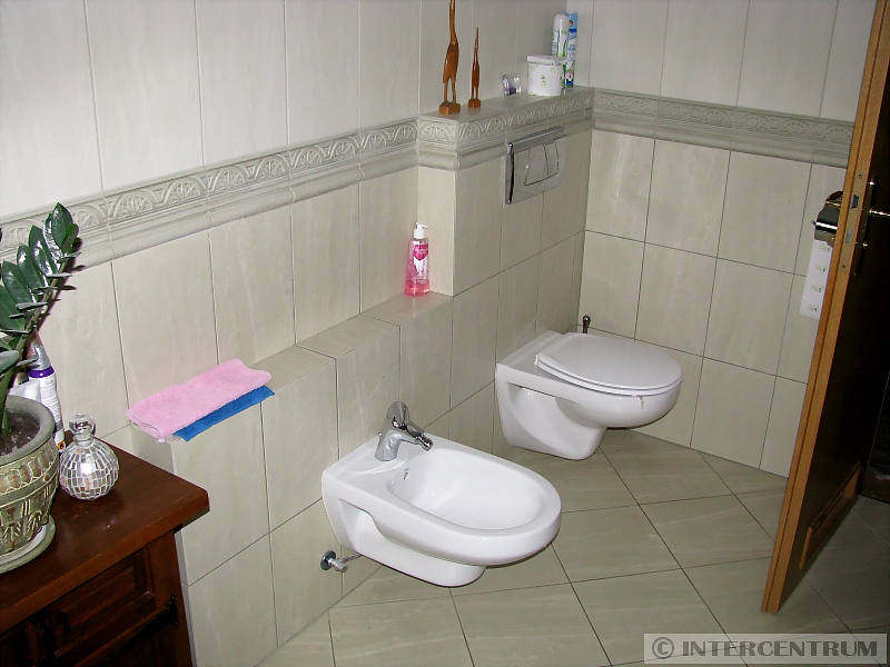 foto - kliknij aby zobaczy powikszenie