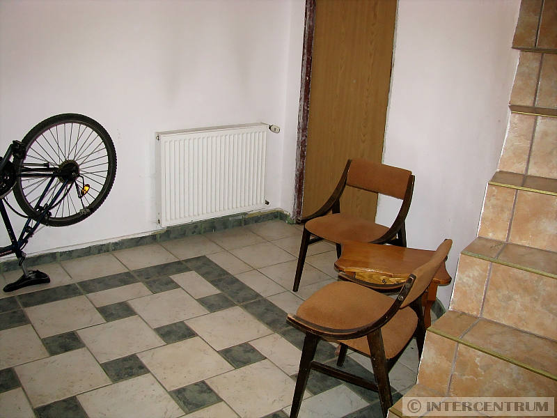 foto - kliknij aby zobaczy powikszenie