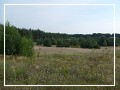 foto - kliknij aby zobaczy powikszenie