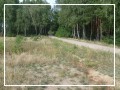 foto - kliknij aby zobaczy powikszenie
