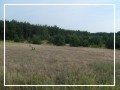 foto - kliknij aby zobaczy powikszenie