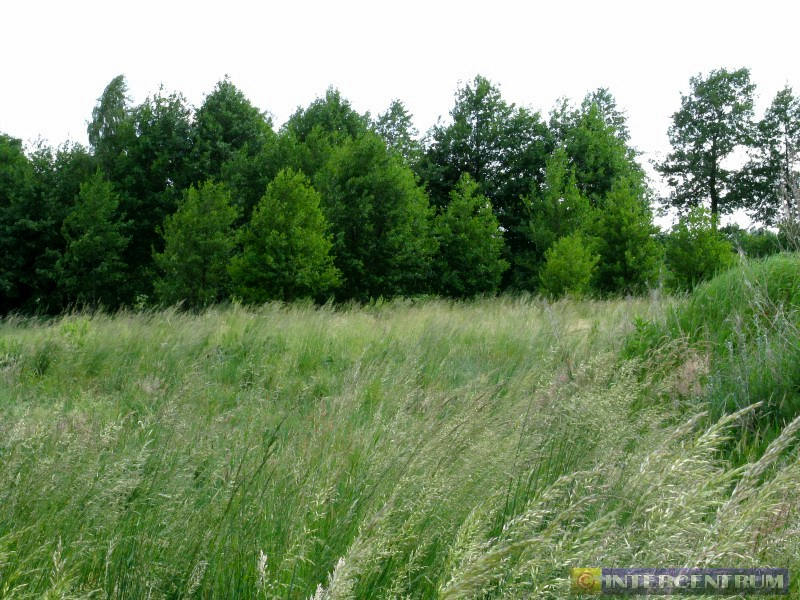 kliknij aby zobaczy powikszenie