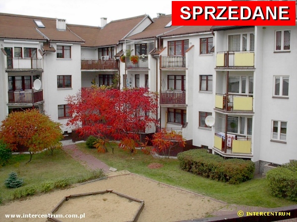widok na podwrko